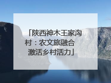 陕西神木王家沟村：农文旅融合 激活乡村活力